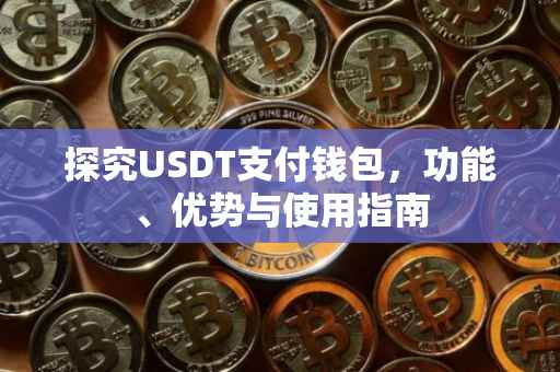 探究USDT支付钱包，功能、优势与使用指南