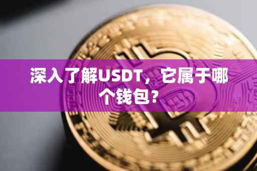 深入了解USDT，它属于哪个钱包？