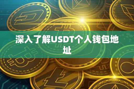 深入了解USDT个人钱包地址