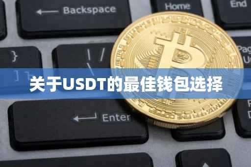 关于USDT的最佳钱包选择
