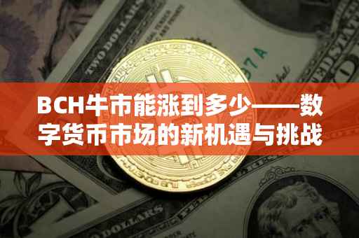 BCH牛市能涨到多少——数字货币市场的新机遇与挑战