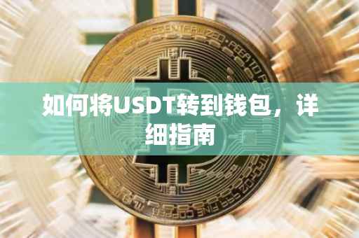 如何将USDT转到钱包，详细指南