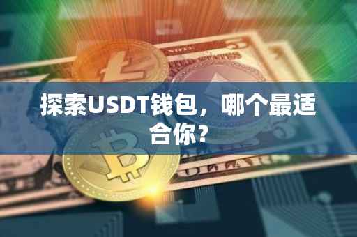 探索USDT钱包，哪个最适合你？