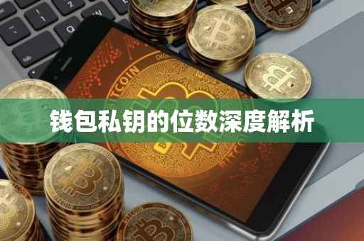 钱包私钥的位数深度解析