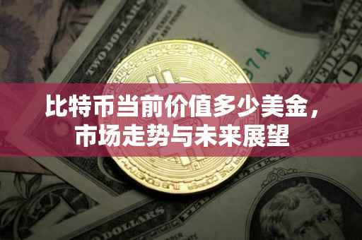 比特币当前价值多少美金，市场走势与未来展望