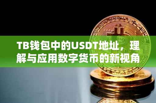 TB钱包中的USDT地址，理解与应用数字货币的新视角
