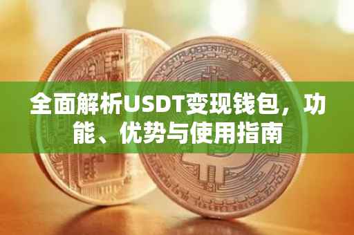 全面解析USDT变现钱包，功能、优势与使用指南