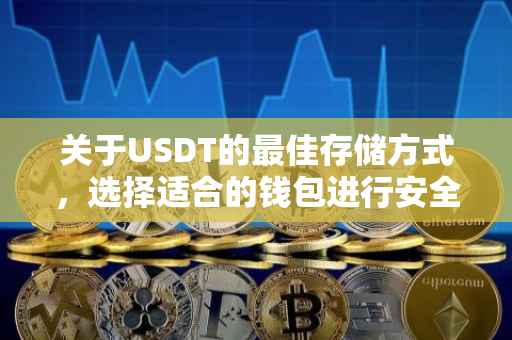 关于USDT的最佳存储方式，选择适合的钱包进行安全存储