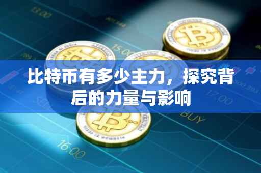 比特币有多少主力，探究背后的力量与影响