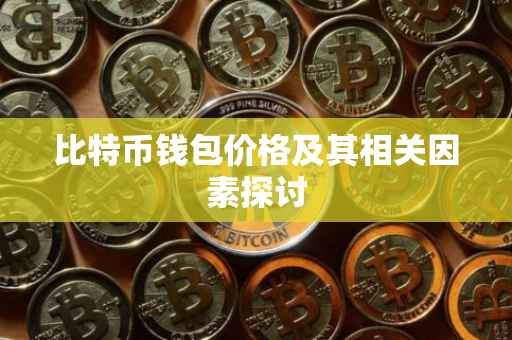 比特币钱包价格及其相关因素探讨