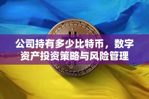 公司持有多少比特币，数字资产投资策略与风险管理
