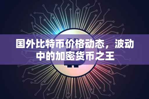 国外比特币价格动态，波动中的加密货币之王