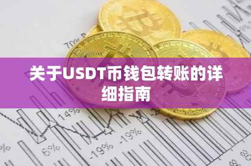 关于USDT币钱包转账的详细指南