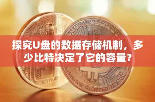 探究U盘的数据存储机制，多少比特决定了它的容量？