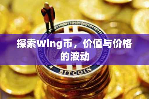 探索Wing币，价值与价格的波动