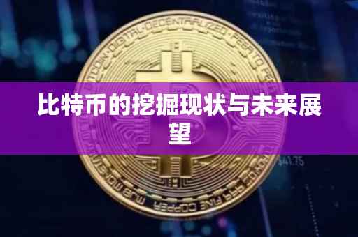 比特币的挖掘现状与未来展望