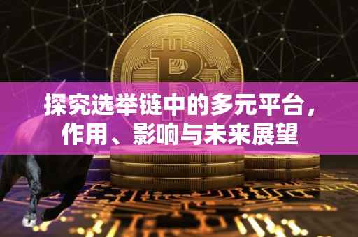 探究选举链中的多元平台，作用、影响与未来展望