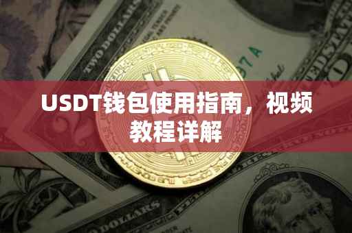 USDT钱包使用指南，视频教程详解