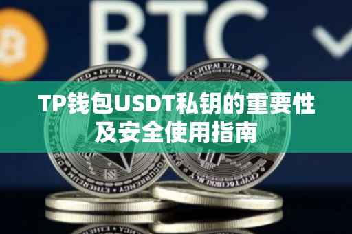 TP钱包USDT私钥的重要性及安全使用指南