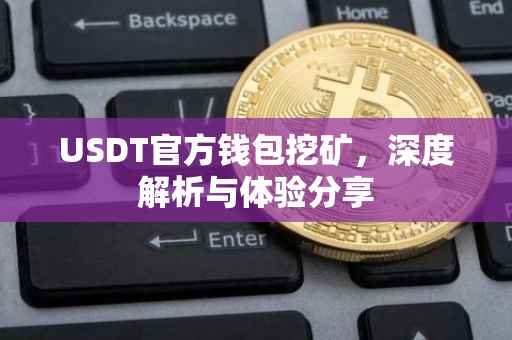 USDT官方钱包挖矿，深度解析与体验分享