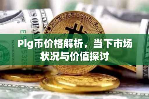 Pig币价格解析，当下市场状况与价值探讨