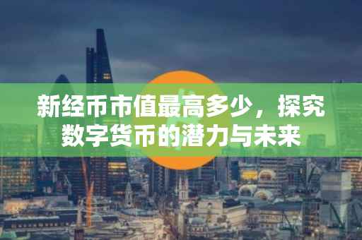 新经币市值最高多少，探究数字货币的潜力与未来