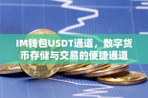 IM钱包USDT通道，数字货币存储与交易的便捷通道