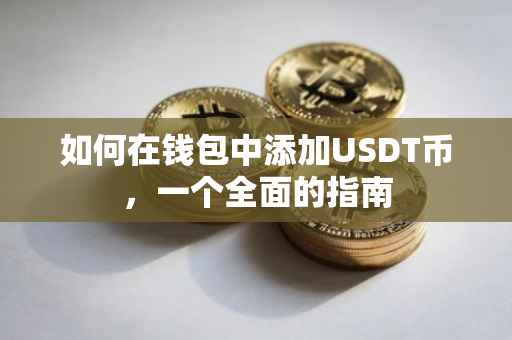 如何在钱包中添加USDT币，一个全面的指南