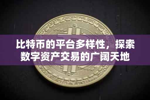 比特币的平台多样性，探索数字资产交易的广阔天地