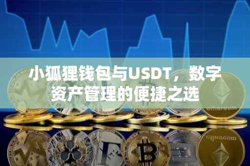 小狐狸钱包与USDT，数字资产管理的便捷之选