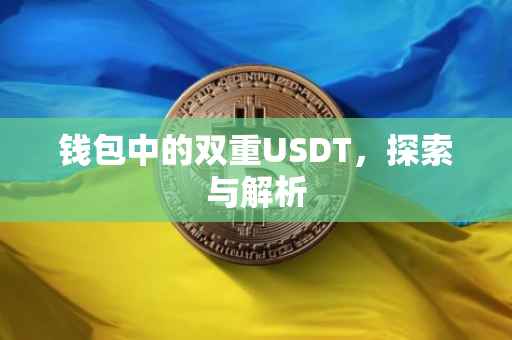 钱包中的双重USDT，探索与解析