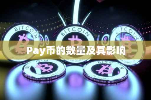 Pay币的数量及其影响