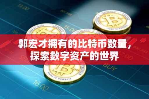 郭宏才拥有的比特币数量，探索数字资产的世界