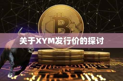 关于XYM发行价的探讨
