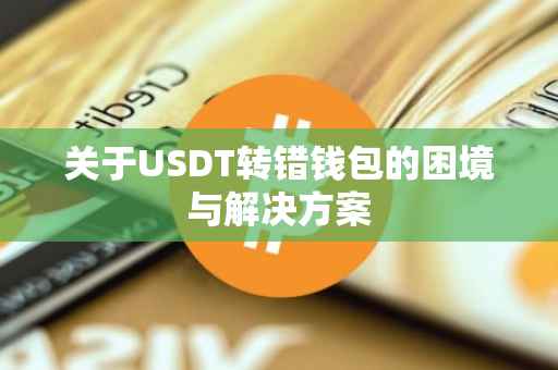 关于USDT转错钱包的困境与解决方案