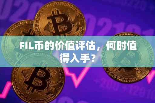 FIL币的价值评估，何时值得入手？