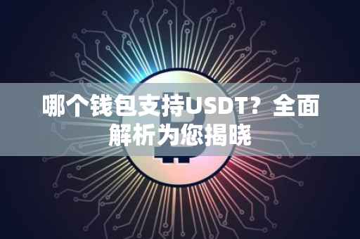 哪个钱包支持USDT？全面解析为您揭晓