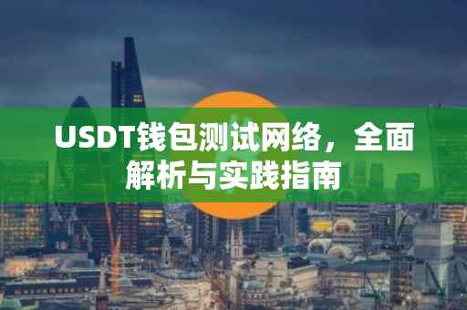 USDT钱包测试网络，全面解析与实践指南