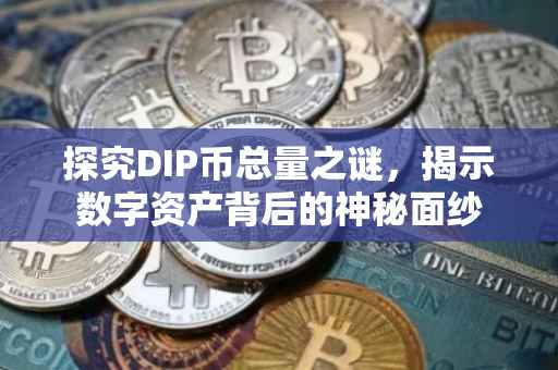 探究DIP币总量之谜，揭示数字资产背后的神秘面纱