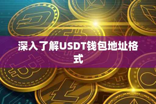 深入了解USDT钱包地址格式