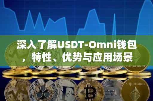 深入了解USDT-Omni钱包，特性、优势与应用场景