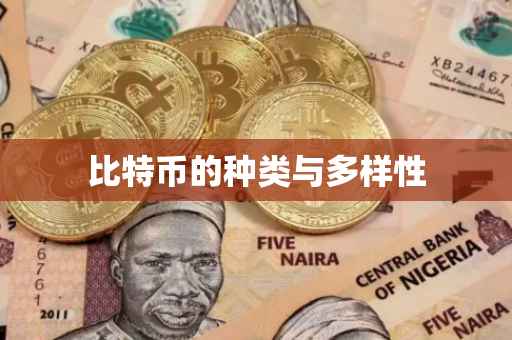 比特币的种类与多样性