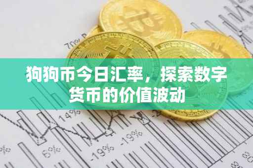 狗狗币今日汇率，探索数字货币的价值波动
