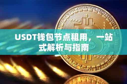 USDT钱包节点租用，一站式解析与指南