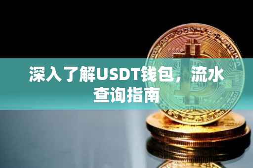 深入了解USDT钱包，流水查询指南