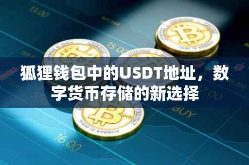 狐狸钱包中的USDT地址，数字货币存储的新选择