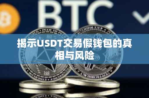 揭示USDT交易假钱包的真相与风险