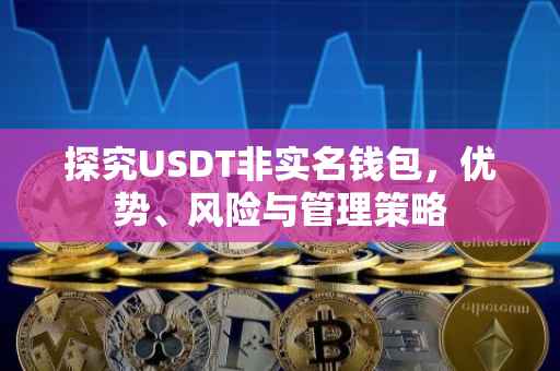 探究USDT非实名钱包，优势、风险与管理策略
