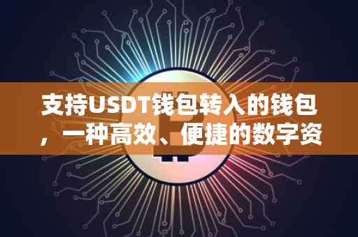 支持USDT钱包转入的钱包，一种高效、便捷的数字资产管理方案