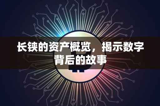 长铗的资产概览，揭示数字背后的故事